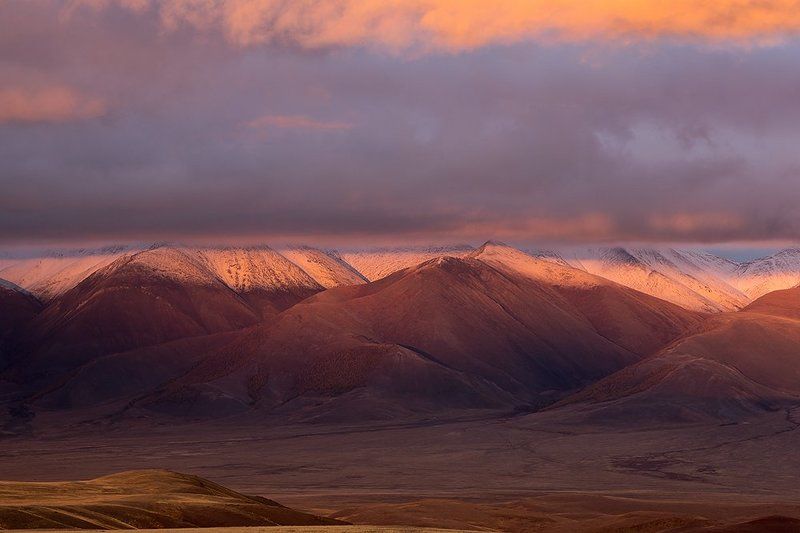 В закатном свете. фото превью