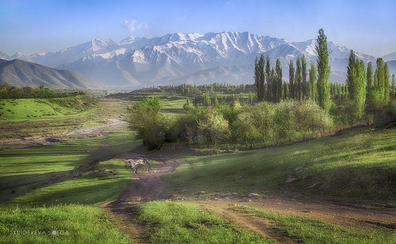 кыргызстан, кепер-арык Аул Кепер-Арык фото превью