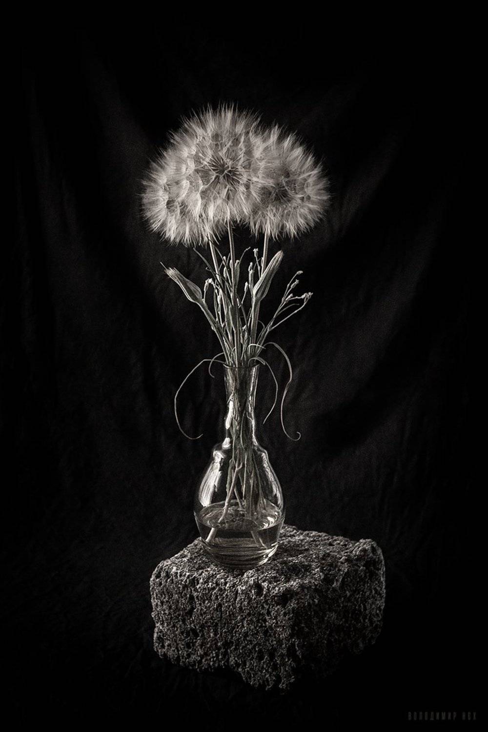 , Володимир Нєх / Vladimir Nekh