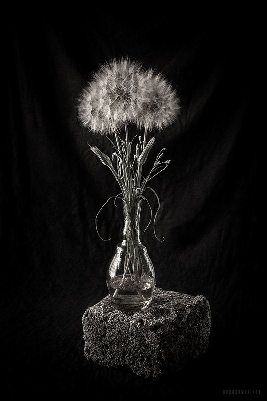 --- фото превью