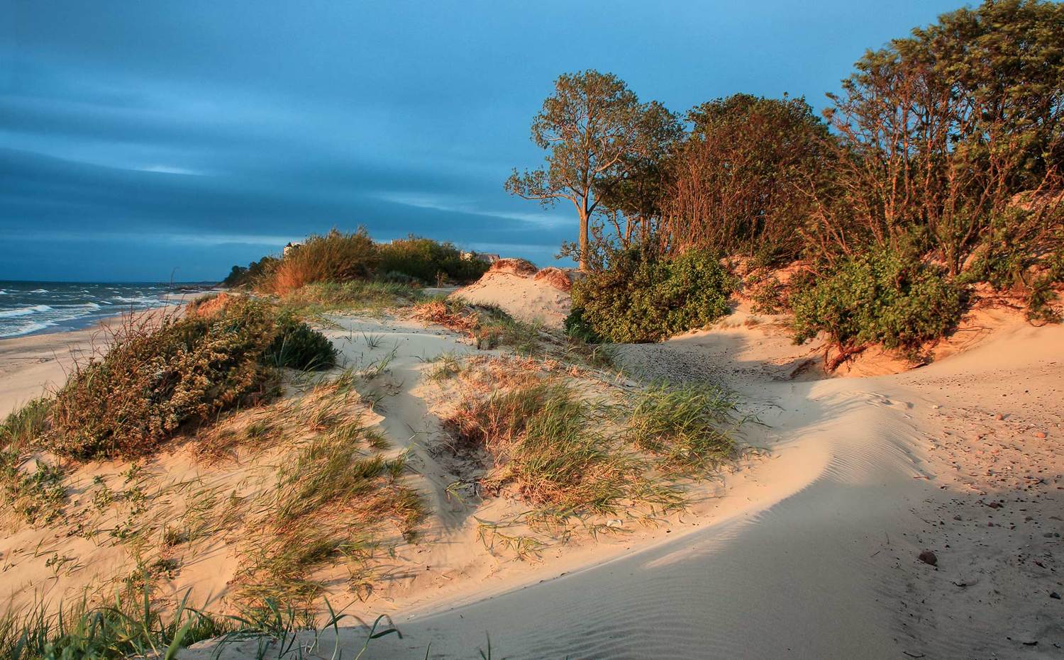 , Павел Дунюшкин