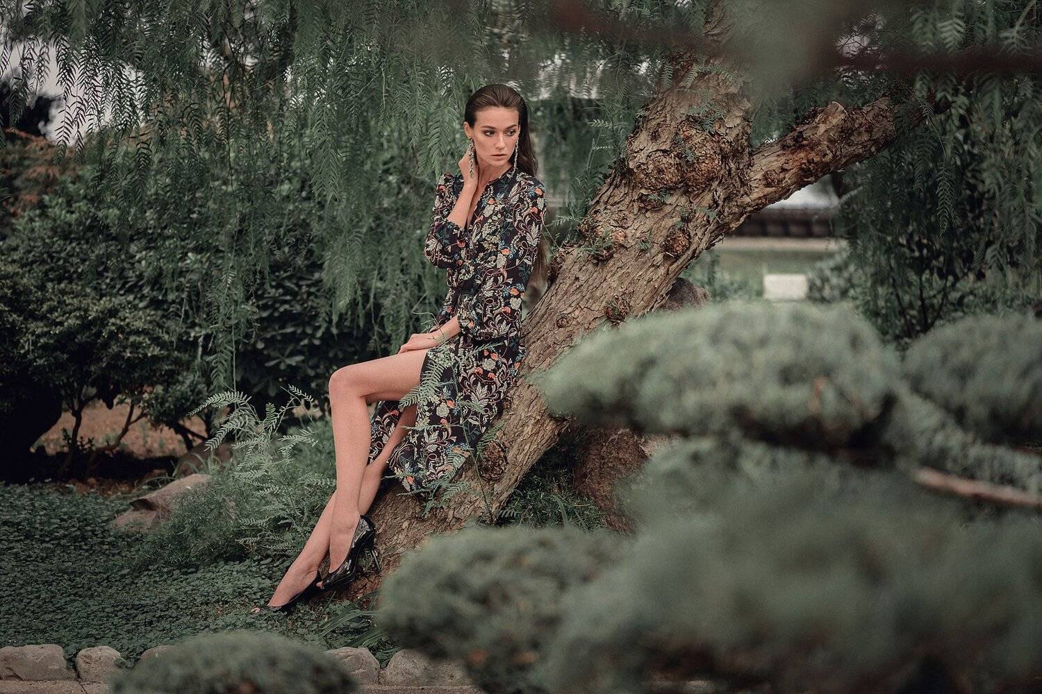 colour, portrait, street, photo, nature, Павел Соколов