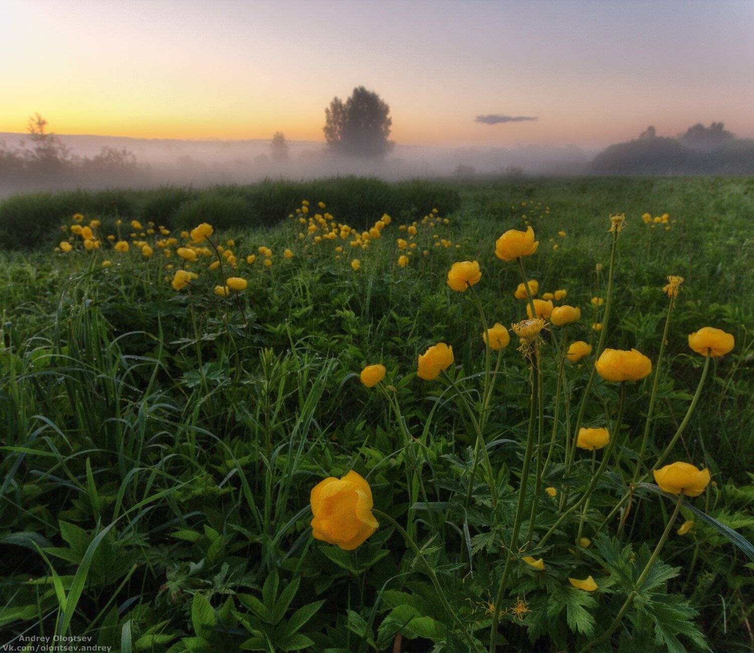 дубна, наукоград, подмосковье, россия, пейзаж, пейзажи, вода, солнце, отражение, рассвет, красота, природа, весна, погода, canon dubna, naukograd, moscow, russia, landscape, water, sun, reflection, dawn, beauty, nature, spring, weather, Андрей Олонцев