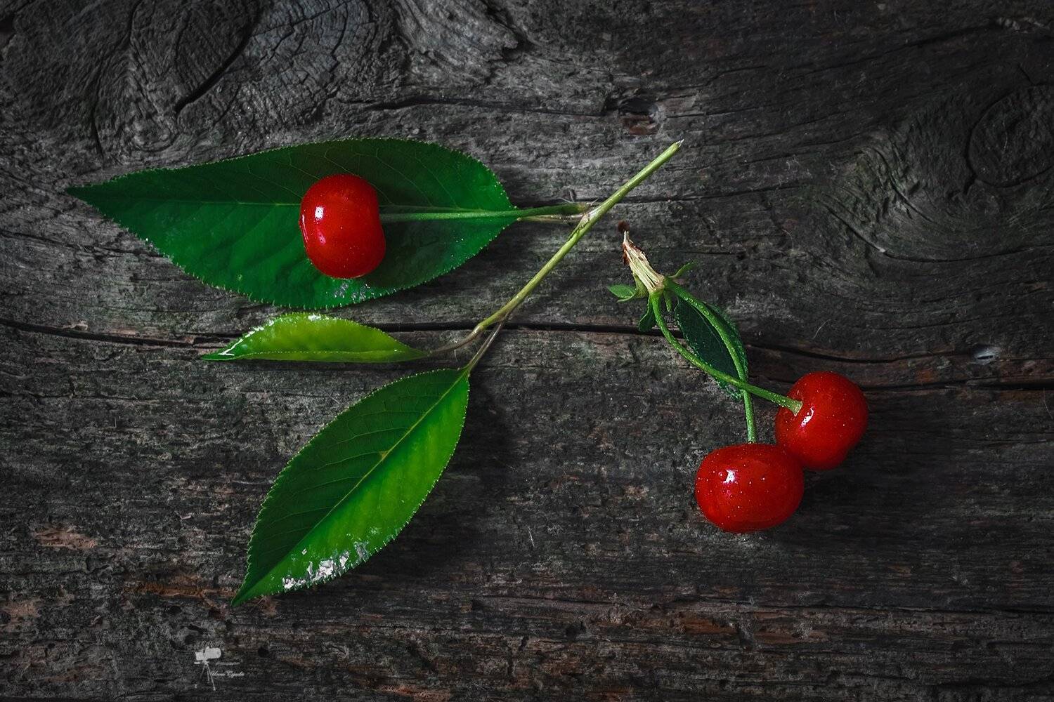 , Инна Сухова