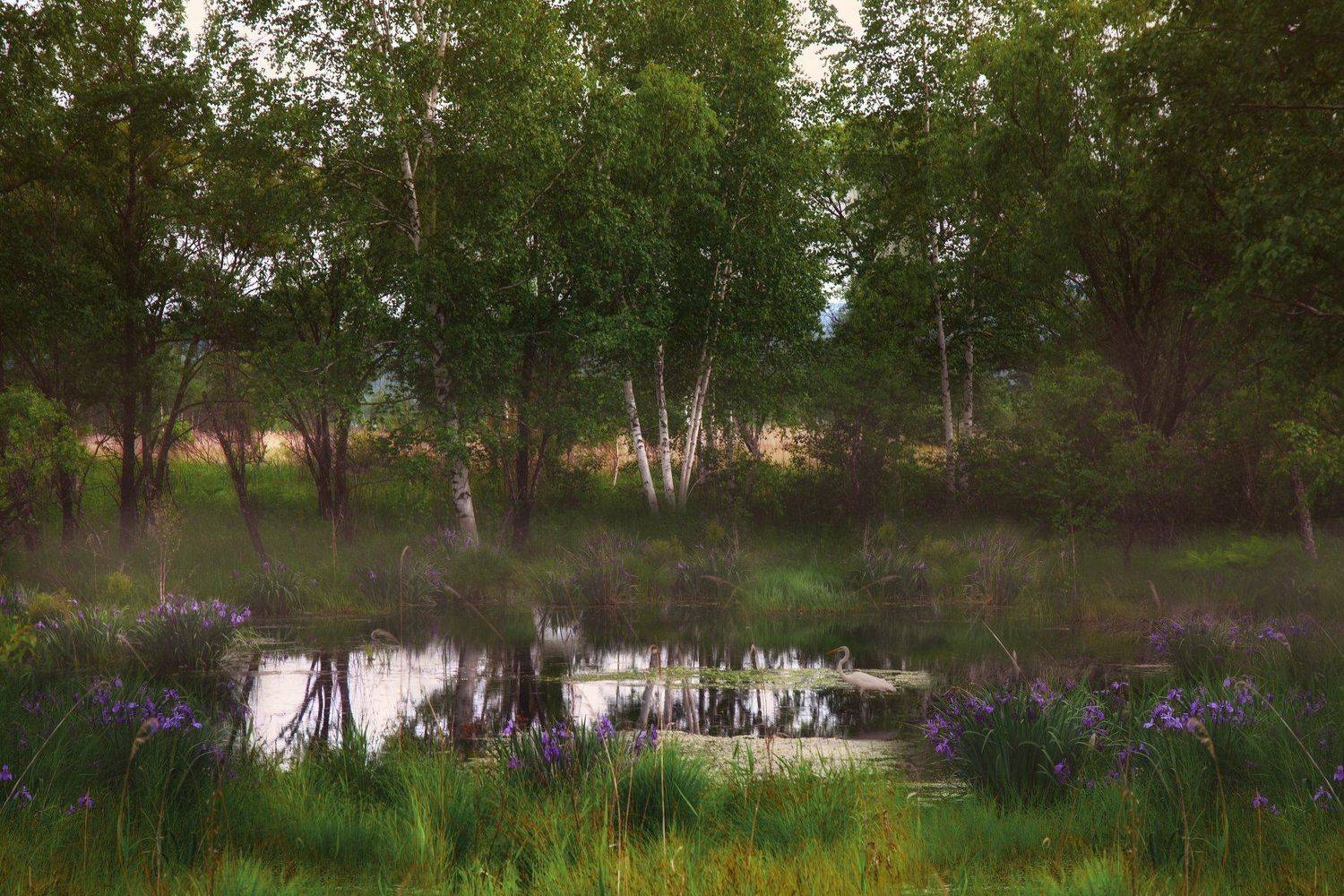 , Антон Шевченко