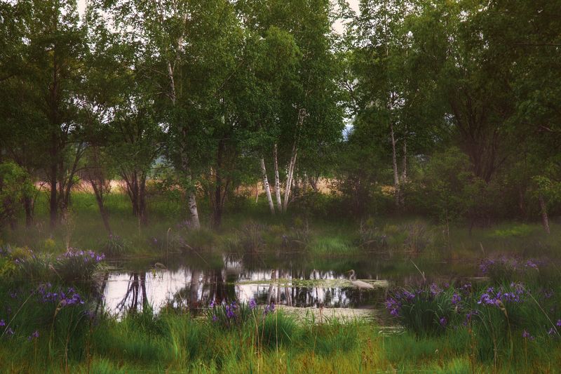 *** фото превью