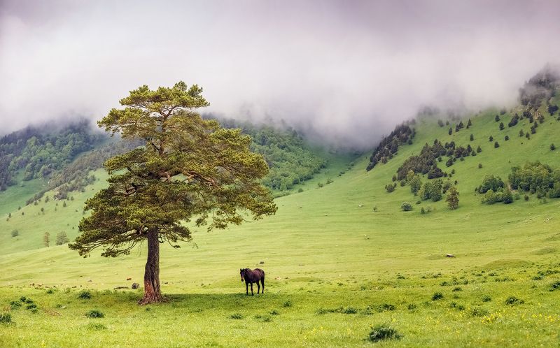 Умиротворение... фото превью