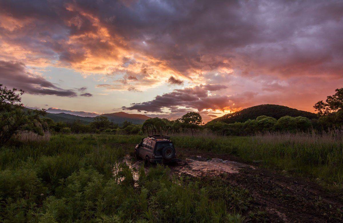 , Шинкарева Елена