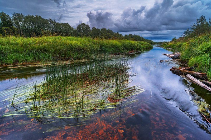 После грозы. фото превью