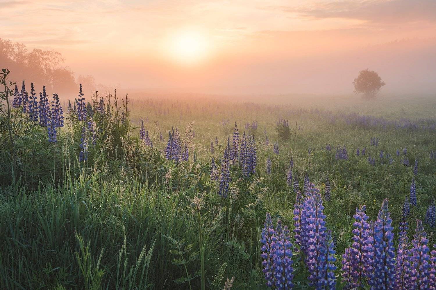 , Сергей Ершов