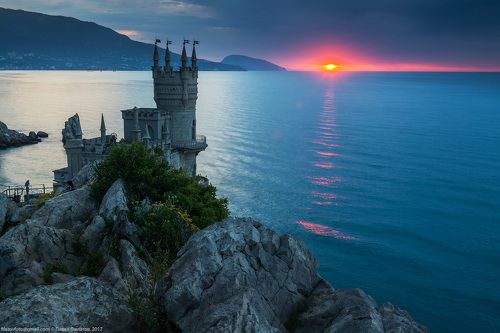 Ласточкин рассвет