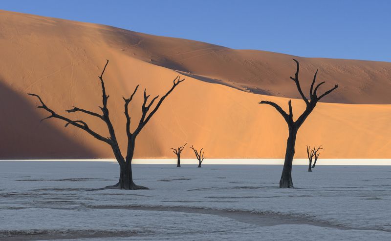 namibia, намибия, дедвлей, deadvlei Deadvlei Forest фото превью
