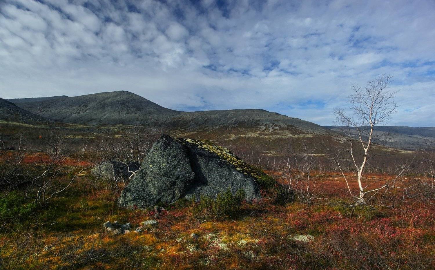 , Михаил Рева