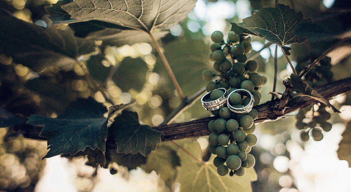 #weddingphotography #photographer #weddingodessa #weddingkiev #stanislavsky #girl #свадебныйфотограф #фотографодесса #свадебныйфотографодесса #свадеба #невеста #фотосессия #lovestory #fineartwedding #МаксимСтаниславский, Максим Станиславский