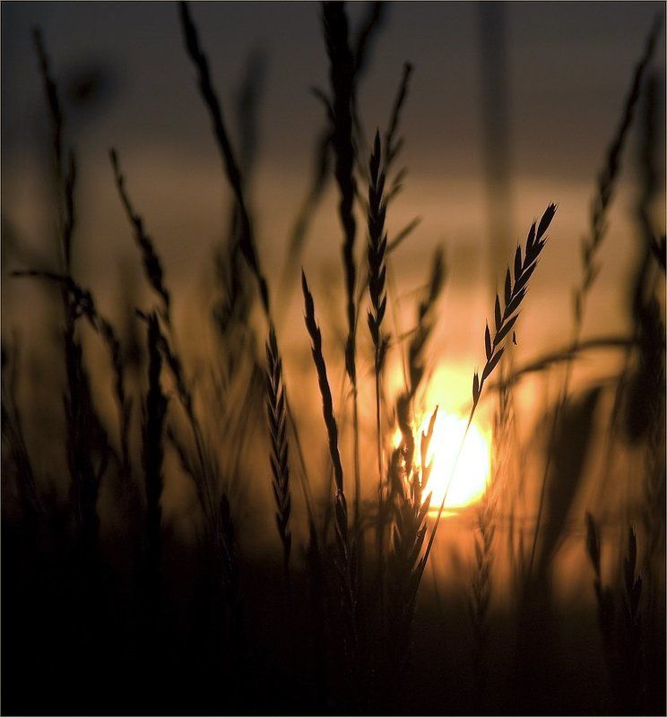 ***** фото превью