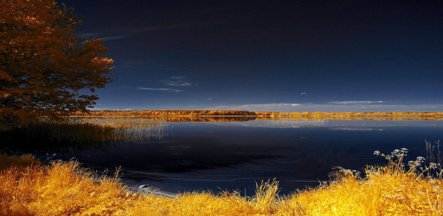 infrared,ик-фото,инфракрасное фото,инфракрасная фотография,пейзаж,природа,беларусь,лето, Sixten ( Сергей )