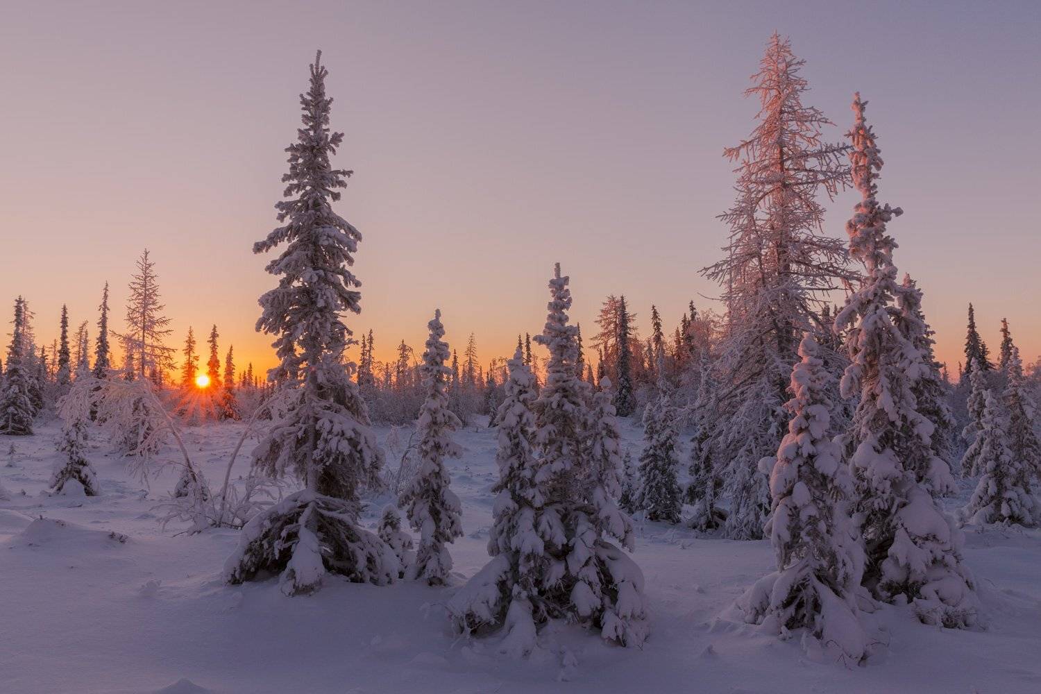 , Евгений Кужилев