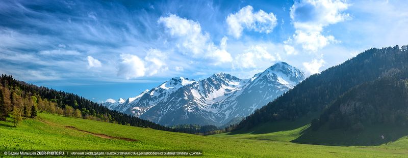 Здесь живут зубры фото превью
