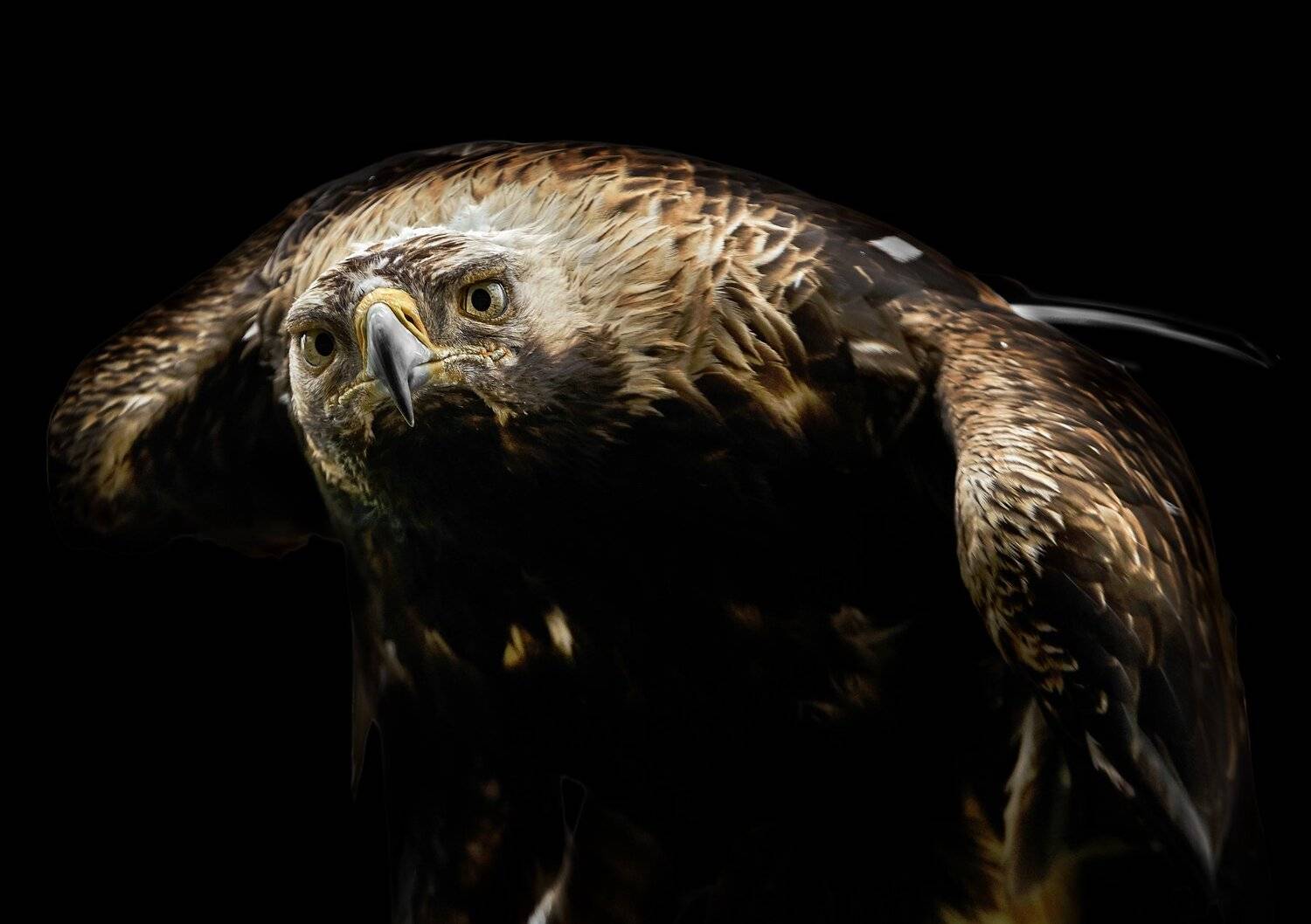 , Олег Богданов