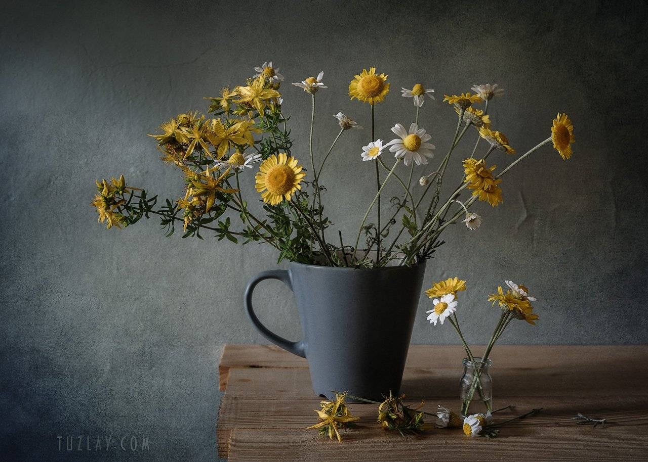 ромашка, пузырек, желтые ромашки, пупавка, лето в чашке, Владимир Тузлай