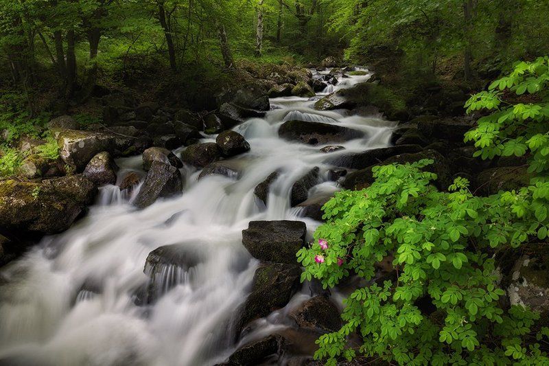река Владайска фото превью