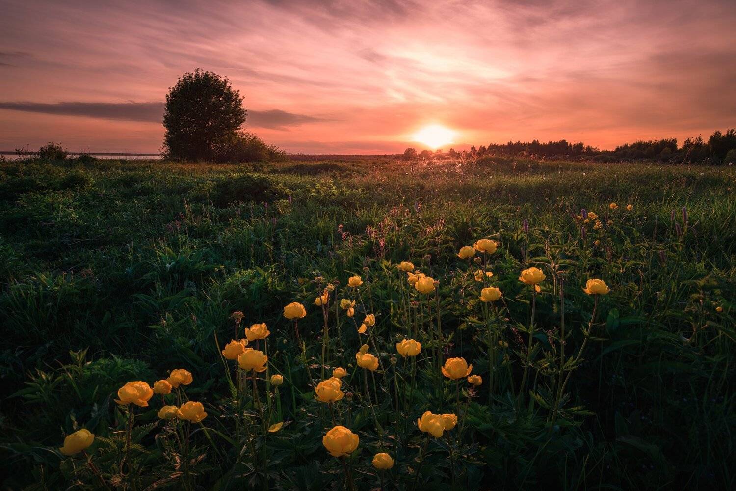 , Ильин Александр