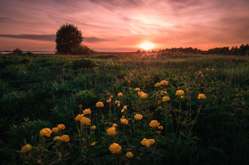 Пле фото превью