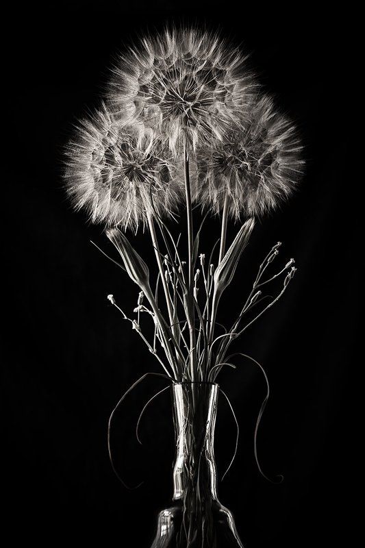 @@@ фото превью