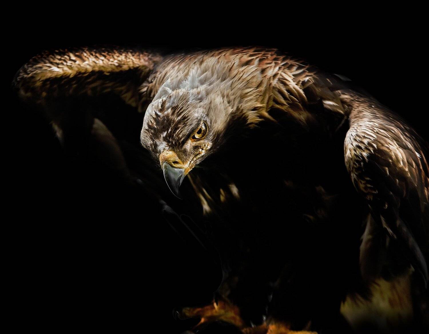 , Олег Богданов