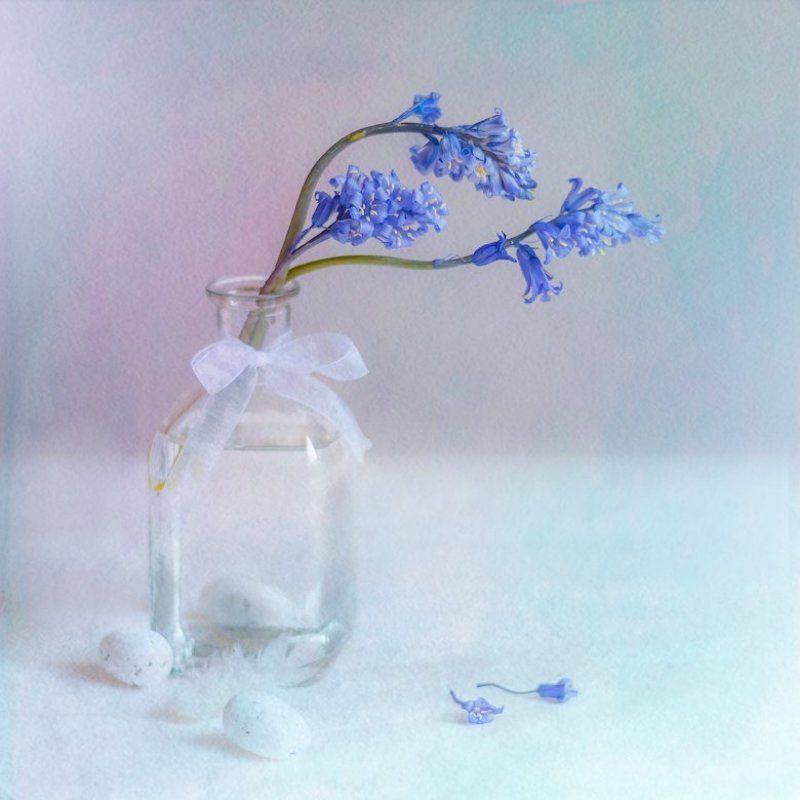 натюрморт, колокольчики, бутыль, лента, акварельное С колокольчиками фото превью