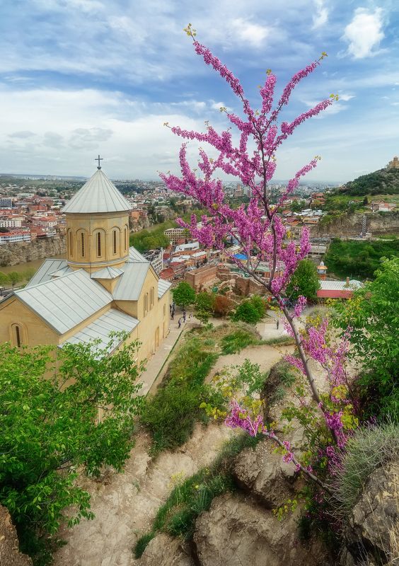 Окрестности крепости Нарикала фото превью