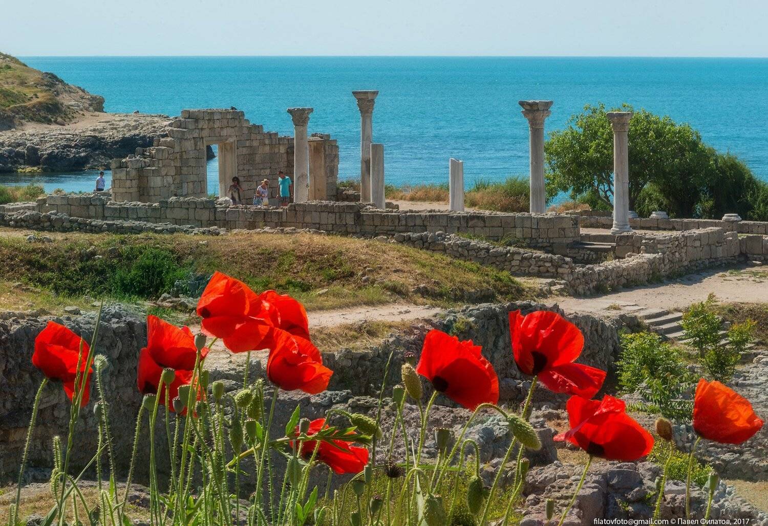 #крым #херсонес #маки #херсонес_таврический #севастополь #павел_филатов #pavel_filatov #filatovpavelaltai, Павел Филатов