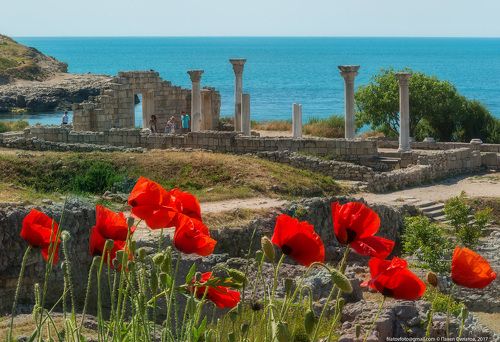 Маки Херсонеса