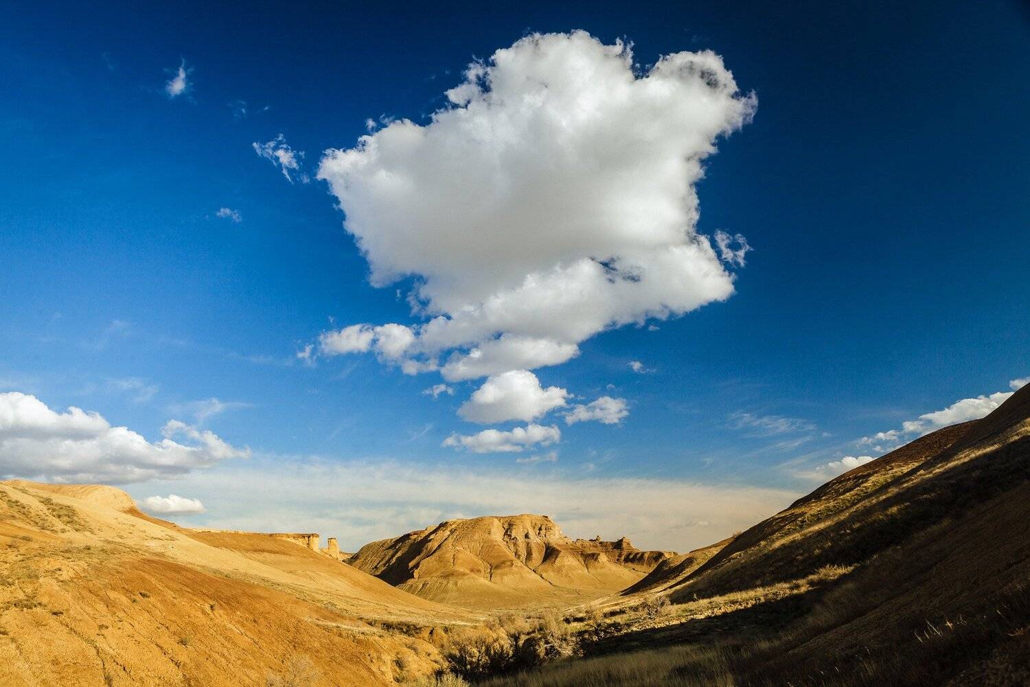 , Илья Афанасьев