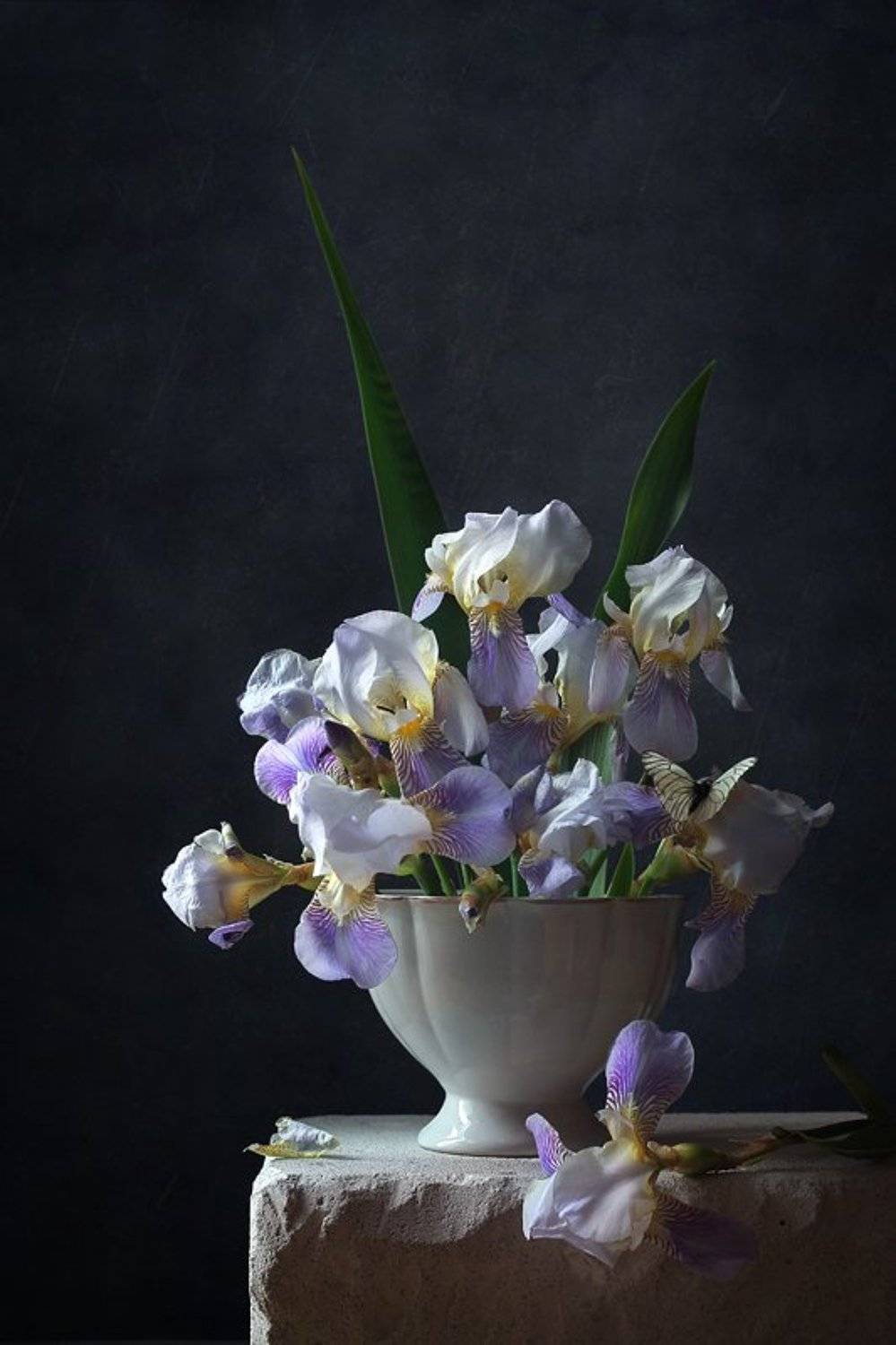 натюрморт, цветы, ирисы, бабочка, Курочкина Диана