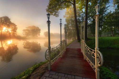 /Утро в парке.../ 