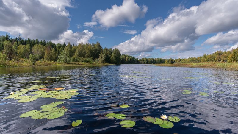 Просто лето. фото превью