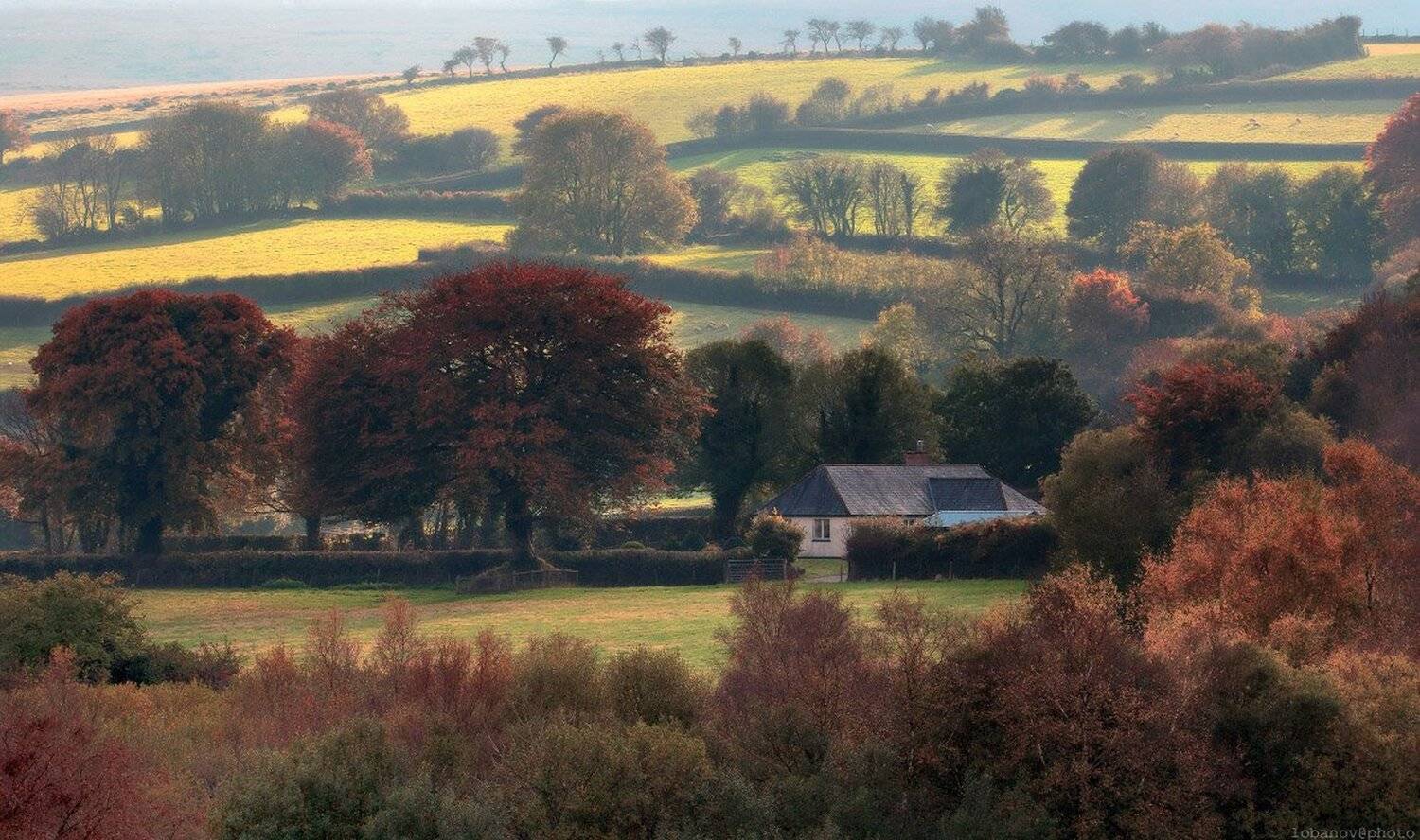 , Алексей Лобанов