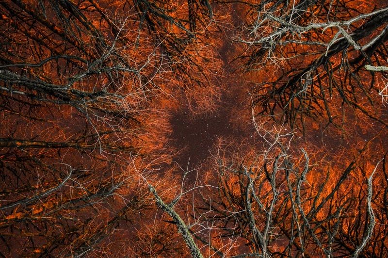 . фото превью