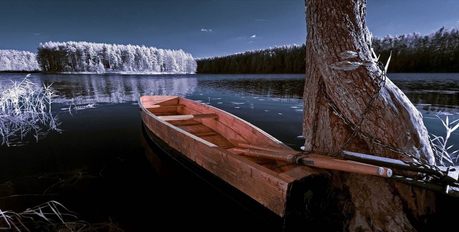 infrared,ик-фото,инфракрасное фото,инфракрасная фотография,пейзаж,природа,беларусь,осень, Sixten ( Сергей )