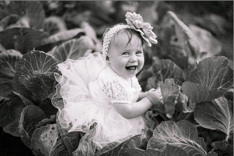 В капусте фото превью