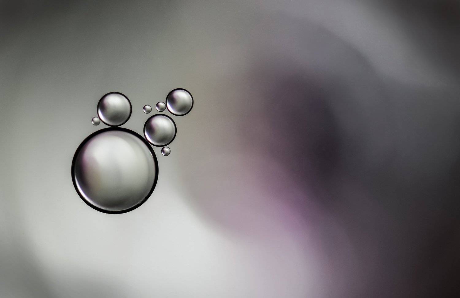 , Ивелина Благоева