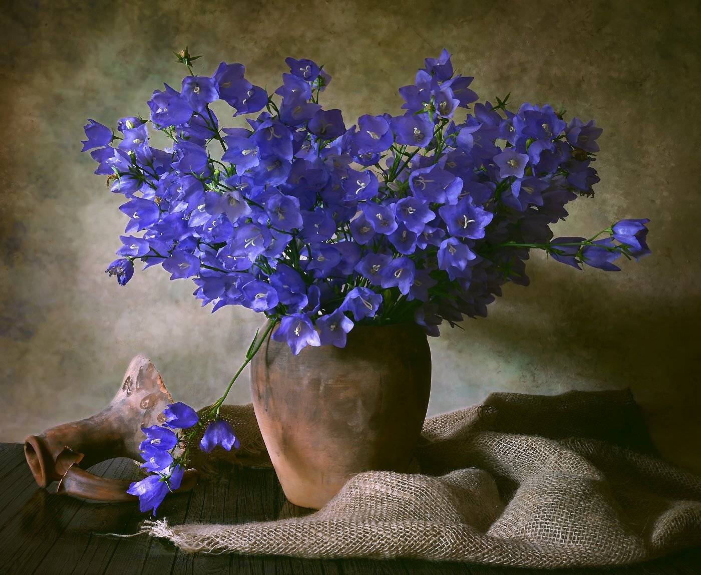 , Елена Брежицкая