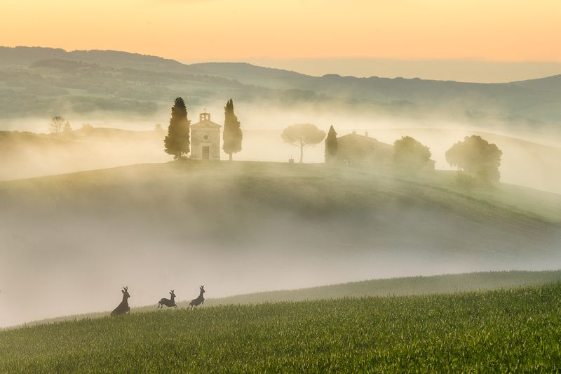 Tuscany фото превью