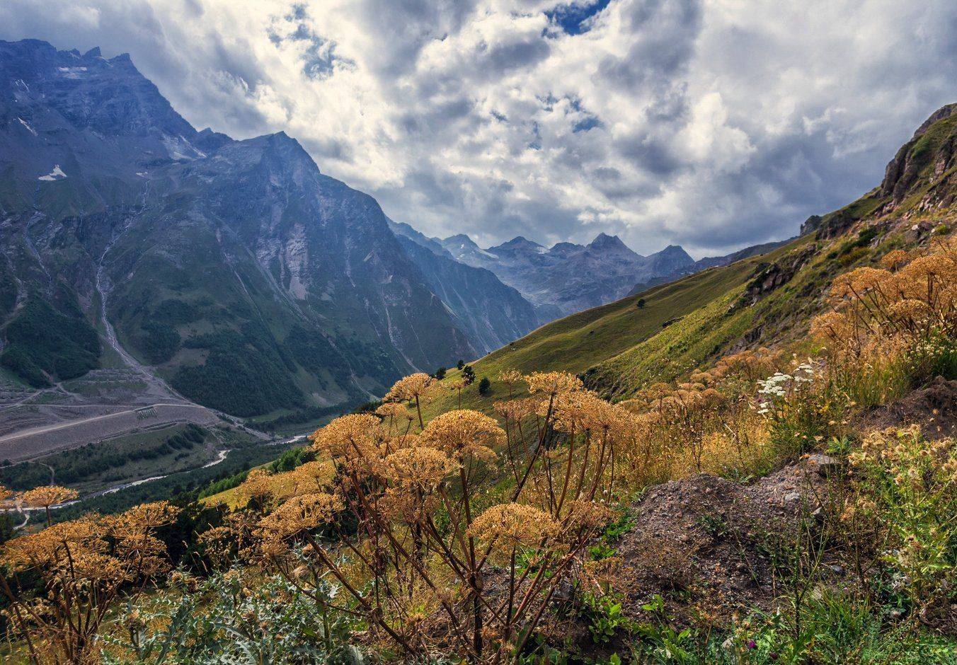 , Игорь Мелекесцев