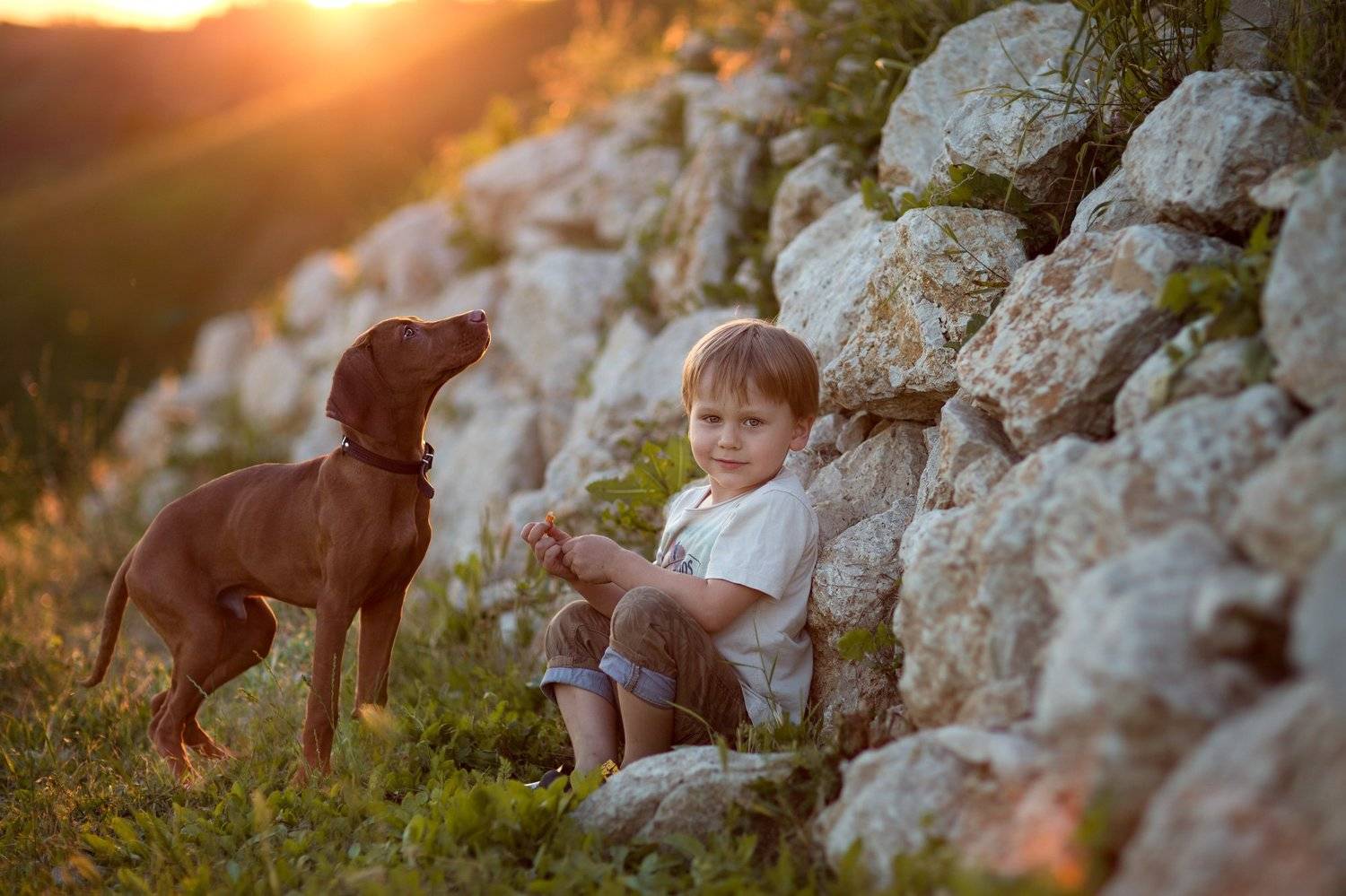 , Евгения Брусенцова