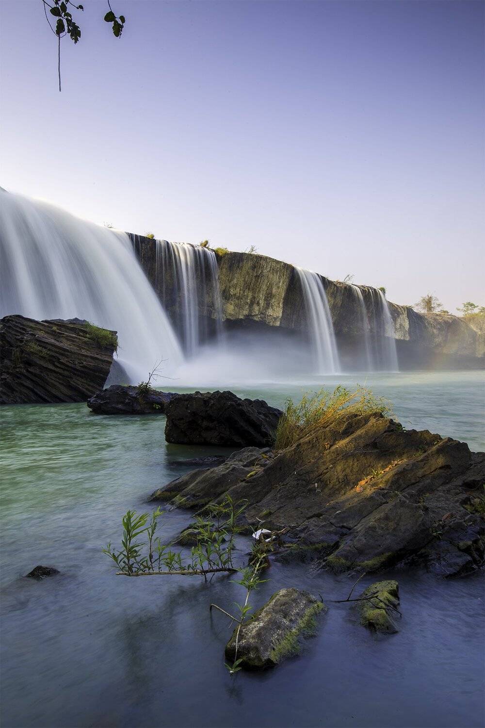 ray nu dak lak, vannguyenhop29@gmail.com