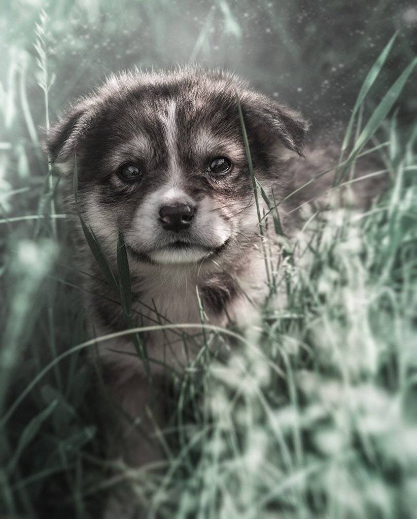 , Рублёв Дмитрий