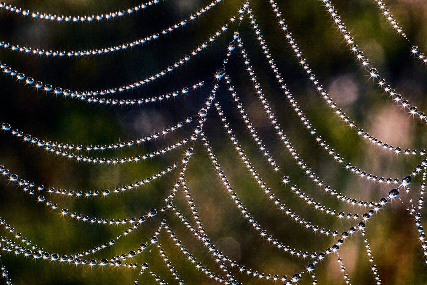 , Владимир Костылев