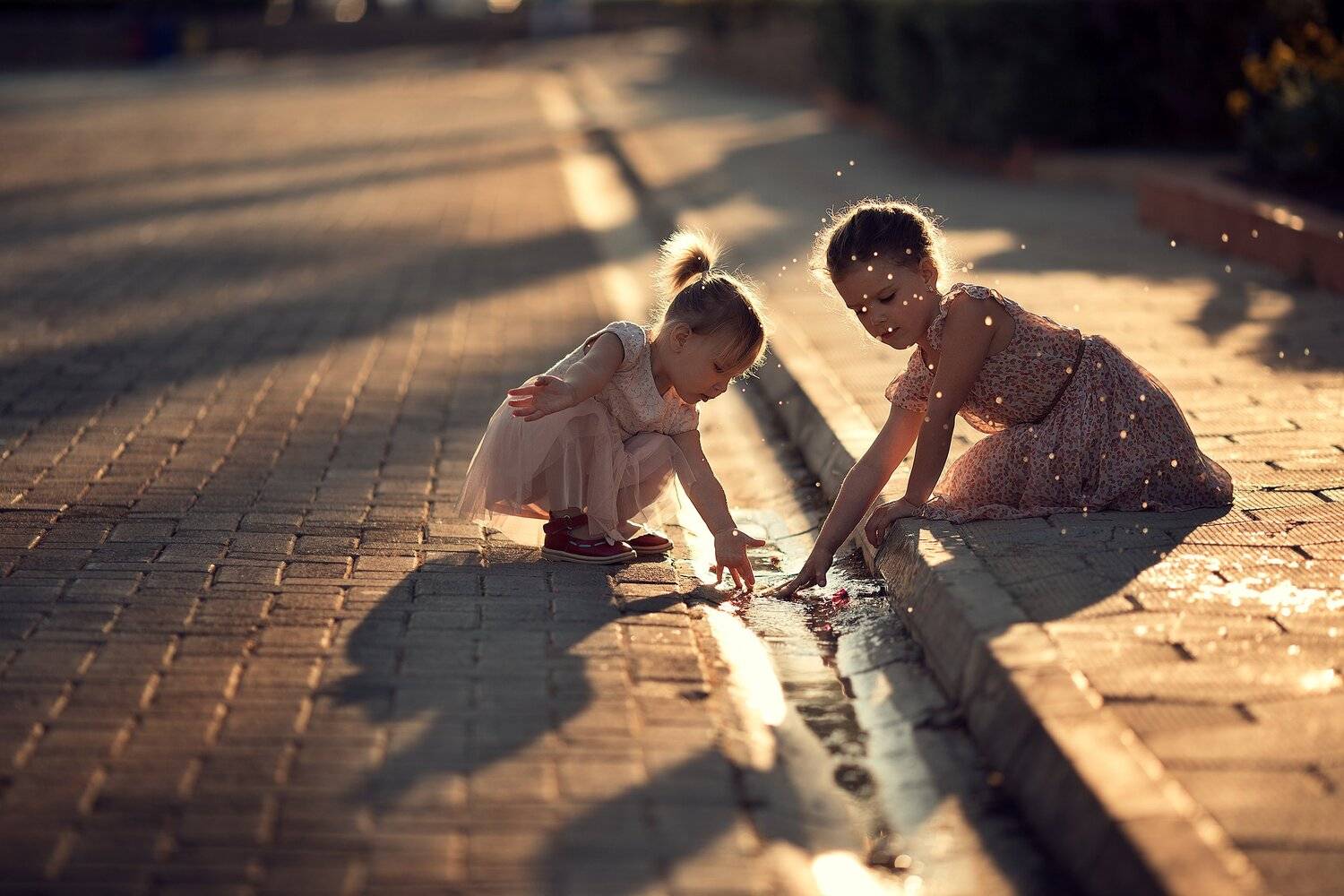 , Дарья Степанова